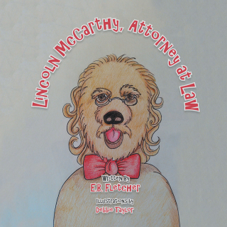 Cover image: Lincoln Mccarthy, Attorney at Law 9781546261933