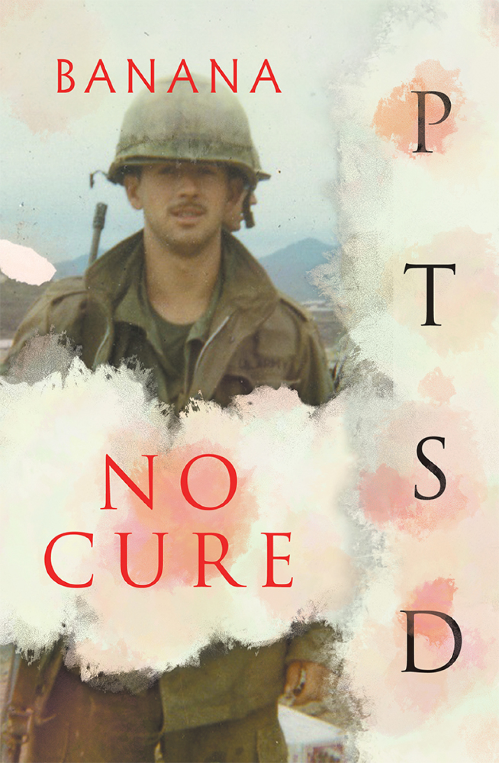 No Cure Ptsd