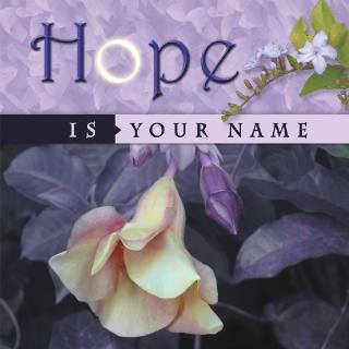Imagen de portada: Hope Is Your Name 9781546287766