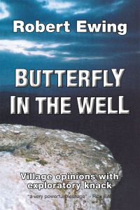 表紙画像: Butterfly in the Well 9781546291138