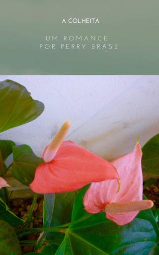 Cover image: A Colheita 9781547565672