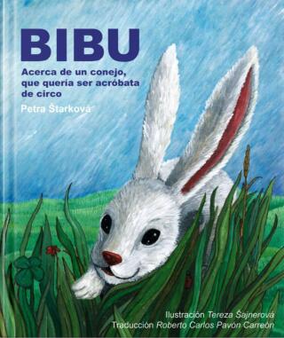 Imagen de portada: Bibu 9781547571253