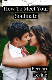 Imagen de portada: How To Meet Your Soulmate 9781547585762