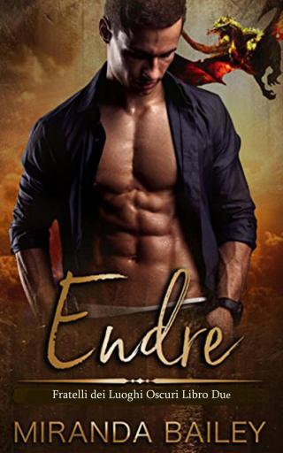 Imagen de portada: Endre 9781547594276