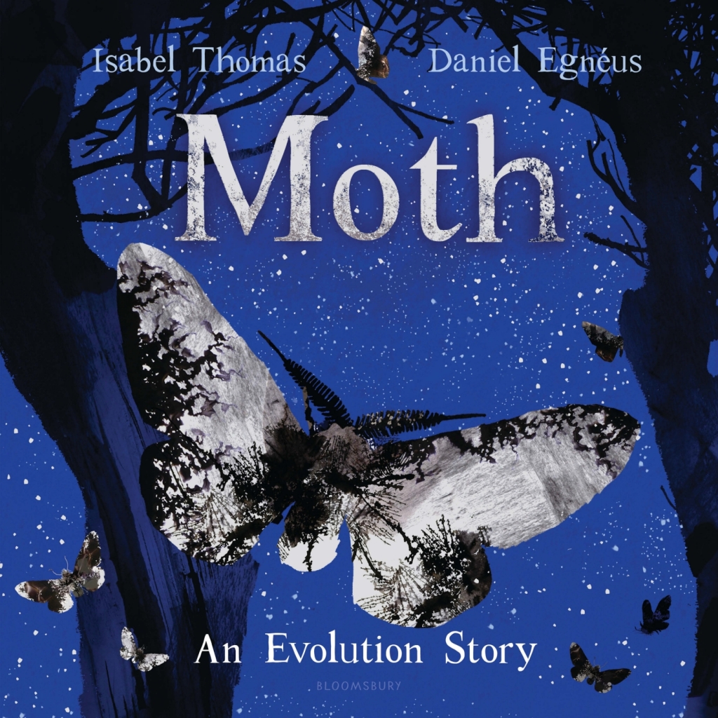 Moth An Evolution Story 1st Edition
