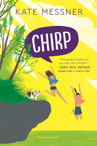 Cover image: Chirp 1st edition 9781547602810