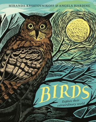 Cover image: Birds 1st edition 9781547605293