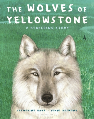 Imagen de portada: The Wolves of Yellowstone: A Rewilding Story 1st edition 9781547607983
