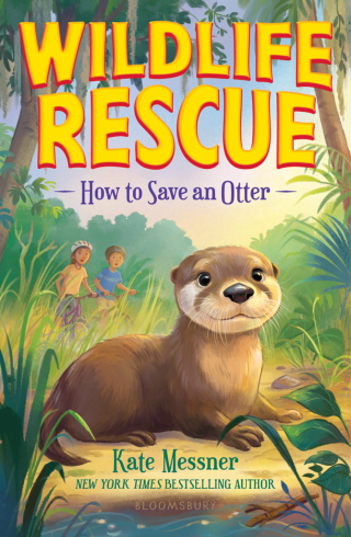 صورة الغلاف: How to Save an Otter 1st edition 9781547616428