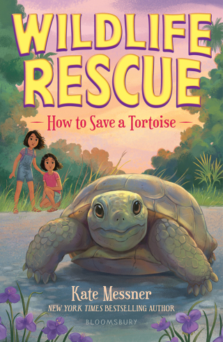 Imagen de portada: How to Save a Tortoise 1st edition 9781547616497