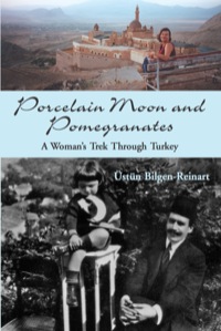 Cover image: Porcelain Moon and Pomegranates 9781550026580