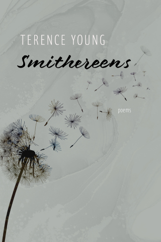 表紙画像: Smithereens 9781550179439
