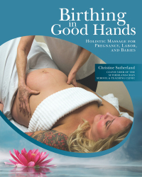 Cover image: Birthing in Good Hands 9781550597448