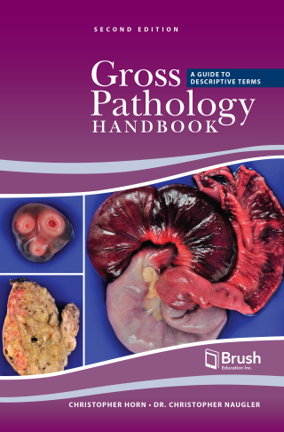 Cover image: Gross Pathology Handbook 2nd edition 9781550599091