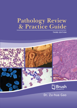 Cover image: Pathology Review and Practice Guide 3rd edition 9781550599169