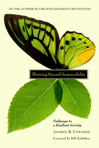 Omslagafbeelding: Thriving Beyond Sustainability 9780865716414