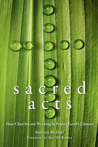 Immagine di copertina: Sacred Acts 9780865717008