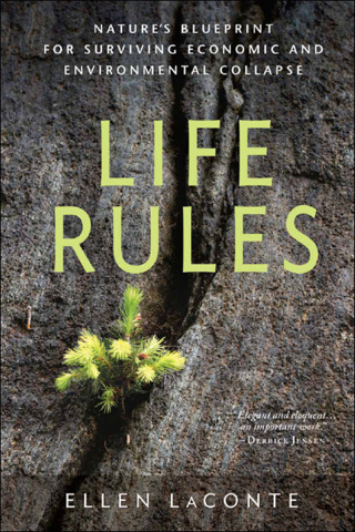 Imagen de portada: Life Rules 9780865717268