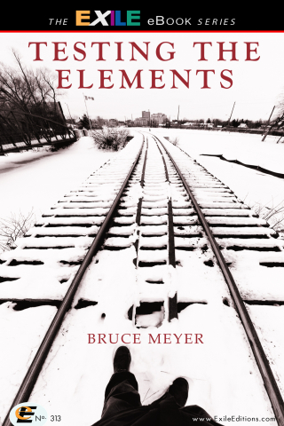 Omslagafbeelding: Testing the Elements 9781550963939