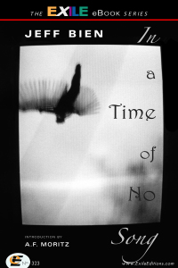 Cover image: In a Time of No Song 1st edition 9781550964769