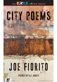 Cover image: City Poems 1st edition 9781550967708