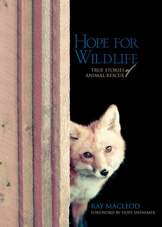 Cover image: Hope for Wildlife 9781551098173