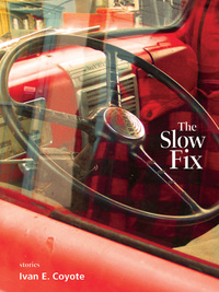 Titelbild: The Slow Fix 9781551522470