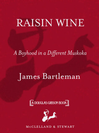 Cover image: Raisin Wine 9780771012648