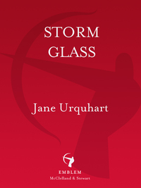Cover image: Storm Glass 9780771086663