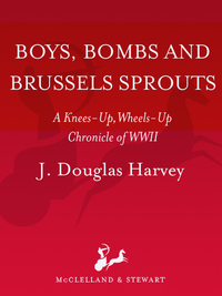 Cover image: Boys Bombs and Brussels Sprouts 9780771040481
