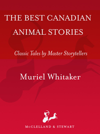 Cover image: The Best Canadian Animal Stories 9780771088193