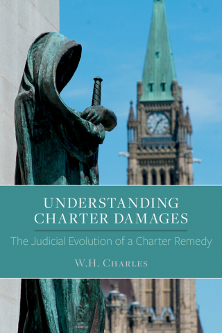 Cover image: Understanding Charter Damages 1st edition 9781552213902