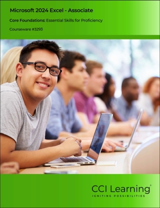 Imagen de portada: Microsoft 2024 Excel Associate 2nd edition 9781553327288