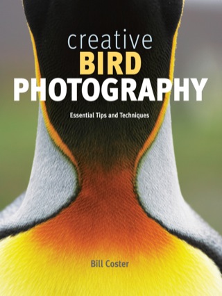 Cover image: Creative Bird Photography 9781553655459