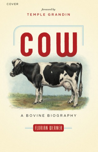 Cover image: Cow 9781553655817