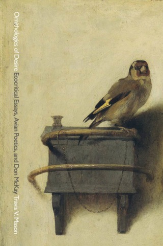 Cover image: Ornithologies of Desire 9781554586301