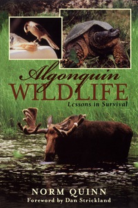 表紙画像: Algonquin Wildlife 9781896219288