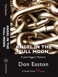 Cover image: Angel in the Full Moon 9781550028133