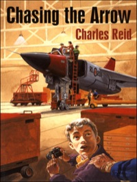 Cover image: Chasing the Arrow 9780888784391