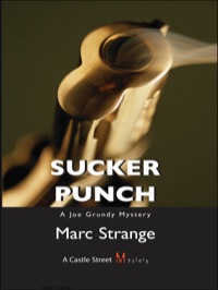 Immagine di copertina: Sucker Punch 9781550027020