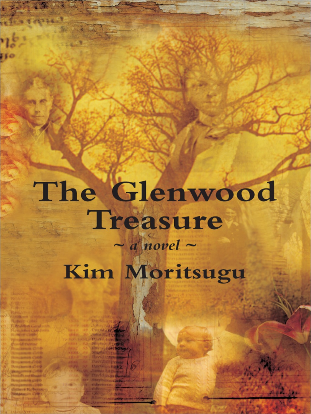 The Glenwood Treasure eBook