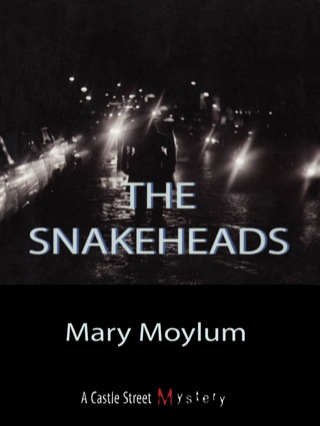 Imagen de portada: The Snakeheads 9780888822253