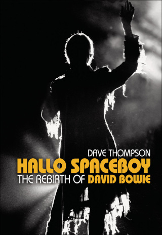 Cover image: Hallo Spaceboy 9781550227338