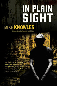 Cover image: In Plain Sight 9781550229486