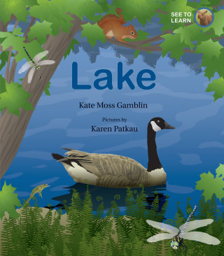 Cover image: Lake: A See to Learn Book 9781554988815