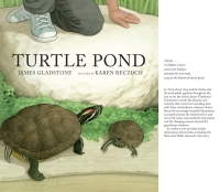 Cover image: Turtle Pond 9781554989102