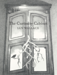 Cover image: The Curiosity Cabinet 9781554989225