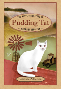 Cover image: The Mostly True Story of Pudding Tat, Adventuring Cat 9781554989645