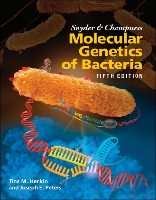 Cover image: Snyder and Champness Molecular Genetics of Bacteria 5th edition 9781555819750