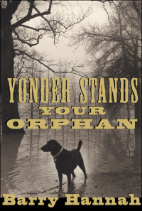 Omslagafbeelding: Yonder Stands Your Orphan 9780802138934
